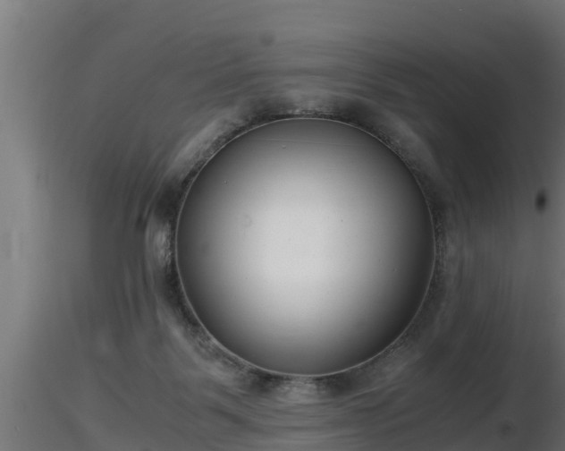 X0000116760123200912241150