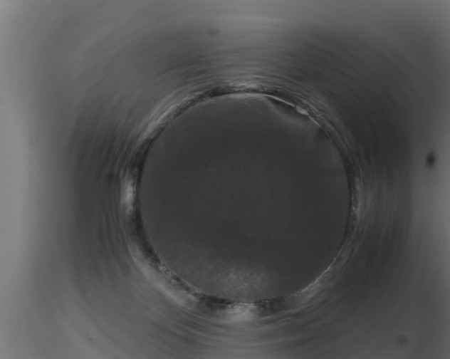 X0000116760124200912241150