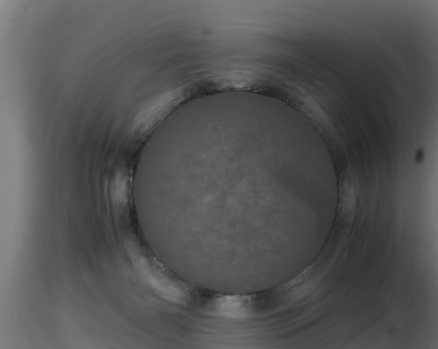 X0000116760126200912241150