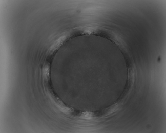X0000116760127200912241150