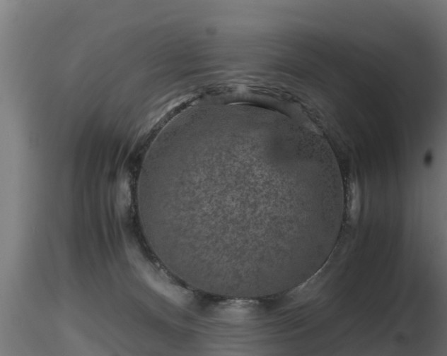 X0000116760128200912241150