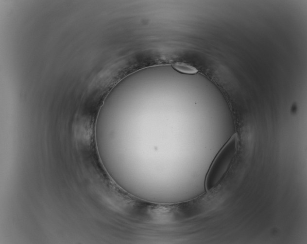 X0000116760129200912241150