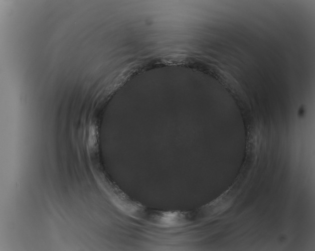 X0000116760130200912241150