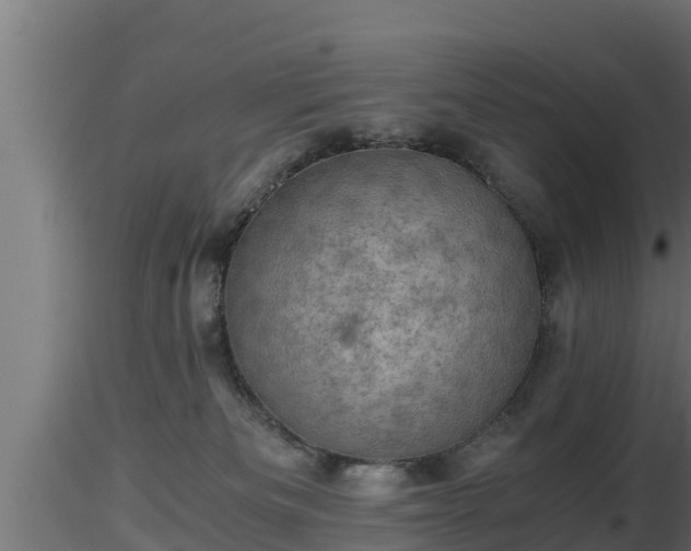 X0000116760133200912241150