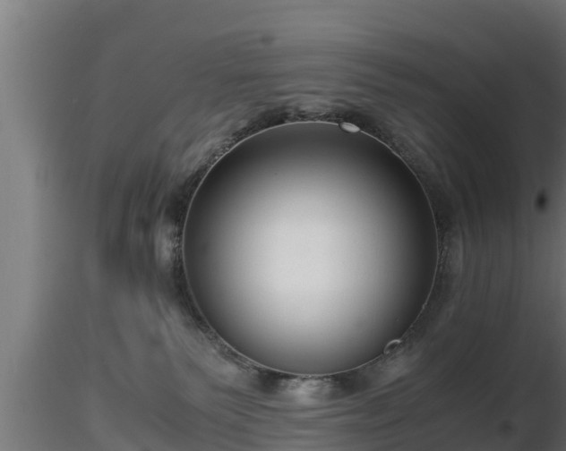 X0000116760135200912241150