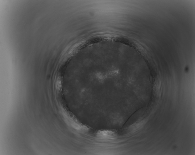 X0000116760137200912241150
