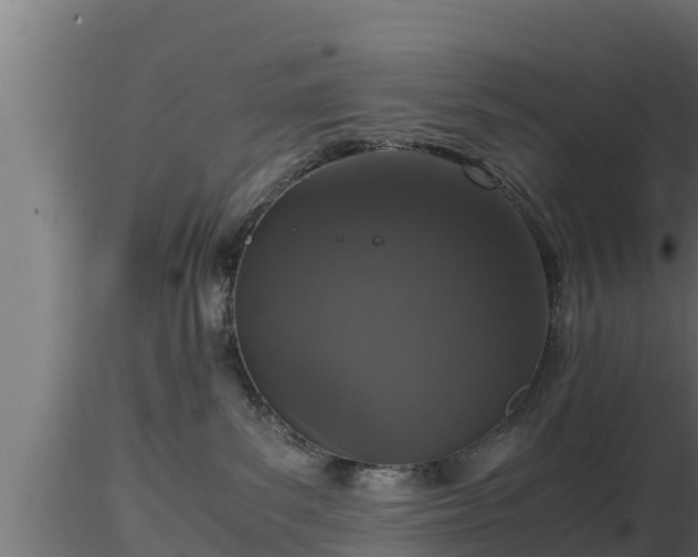 X0000116760139200912241150