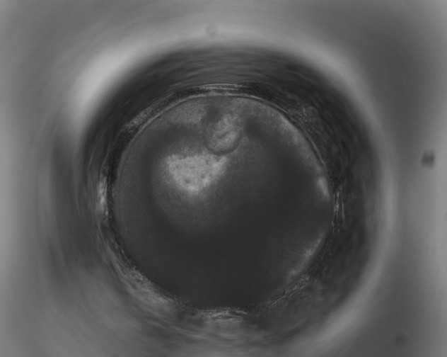 X0000116760146200912241149
