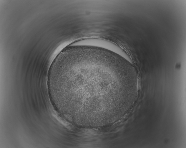 X0000116760147200912241149