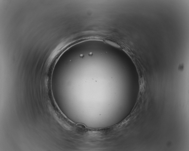 X0000116760150200912241150