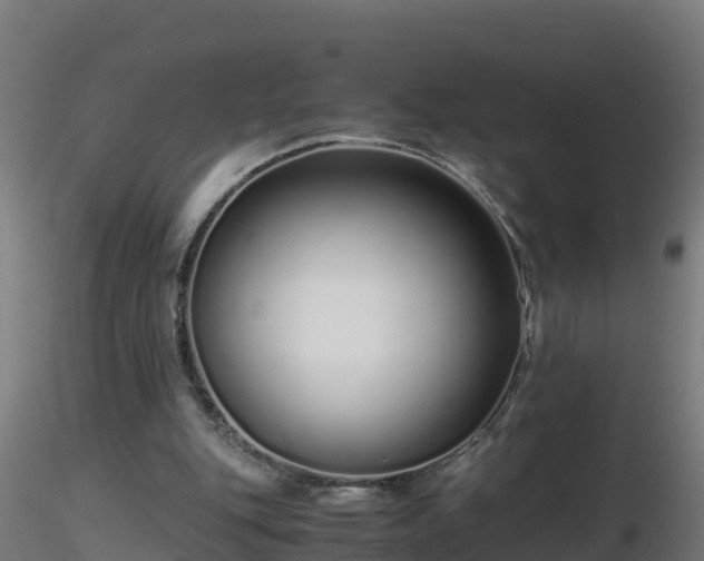 X0000116760151200912241150