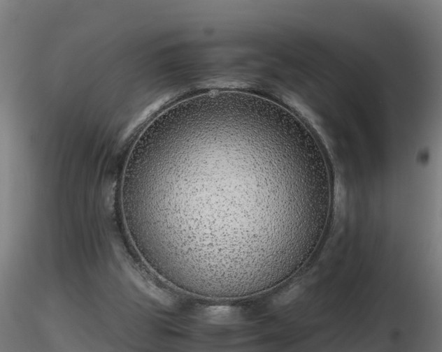 X0000116760153200912241150