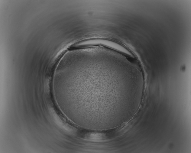X0000116760154200912241150
