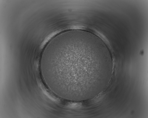 X0000116760155200912241150