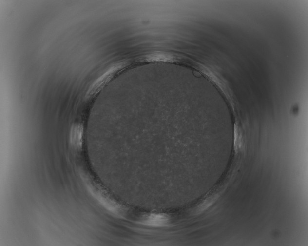 X0000116760157200912241150
