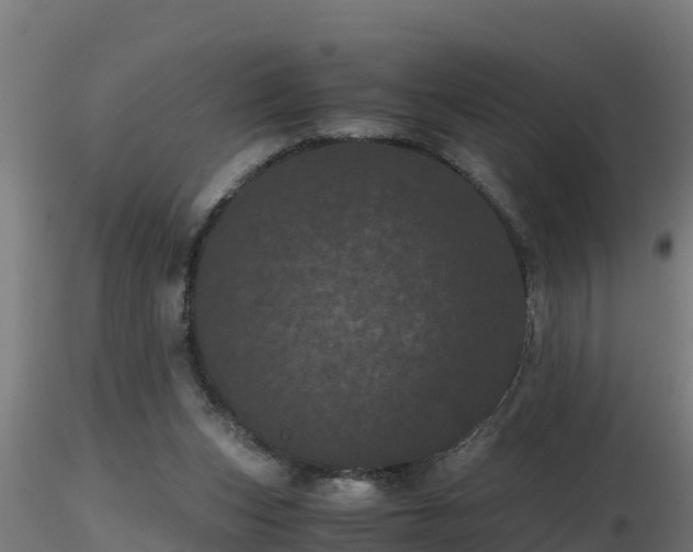 X0000116760159200912241150