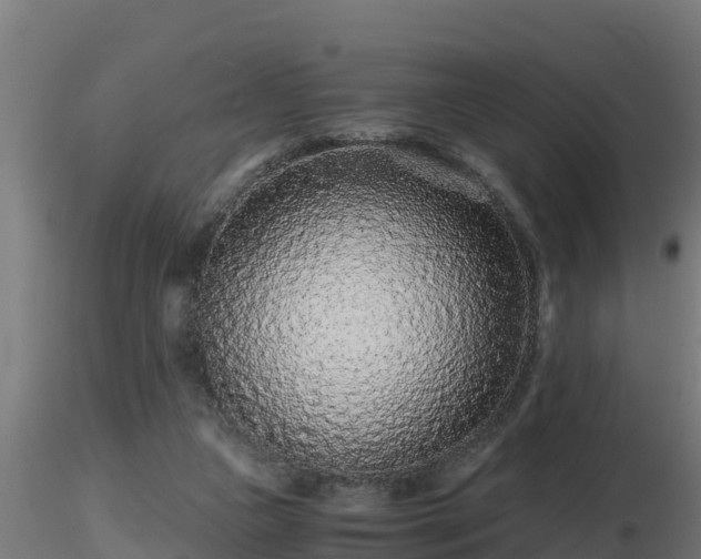 X0000116760161200912241150