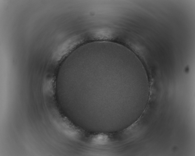 X0000116760162200912241150
