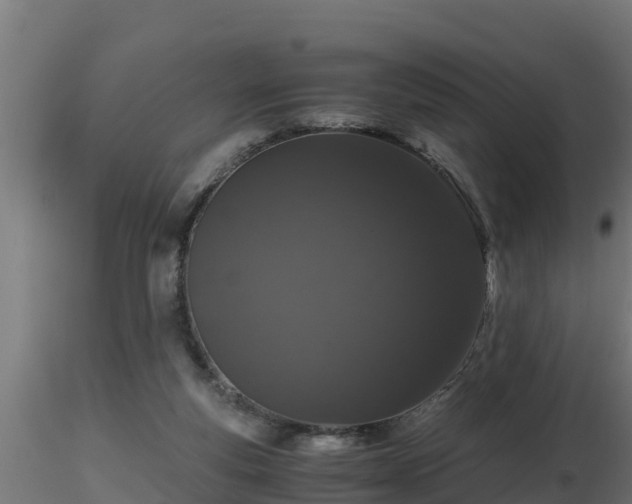 X0000116760163200912241150