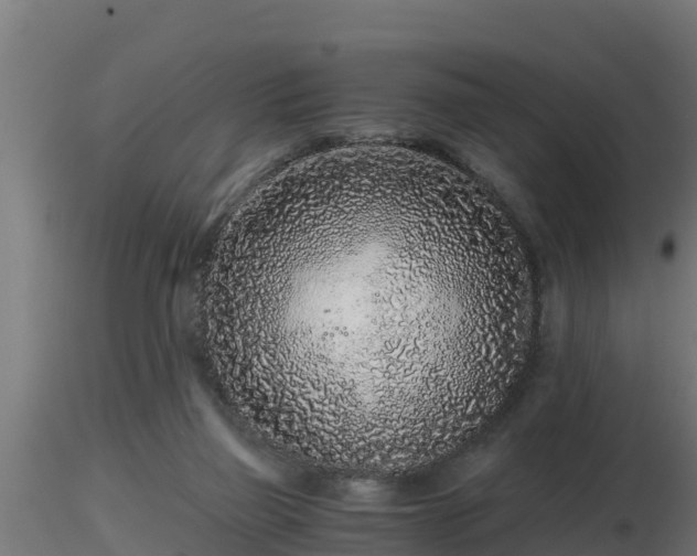 X0000116760165200912241150
