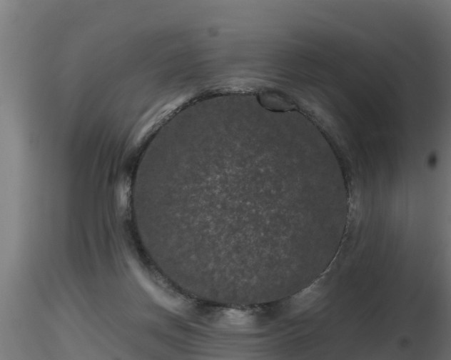 X0000116760166200912241150