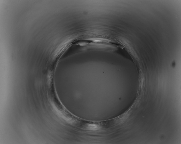 X0000116760167200912241150