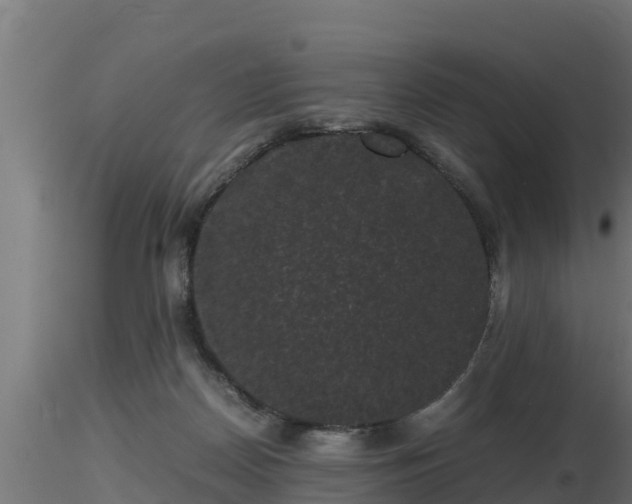 X0000116760170200912241150