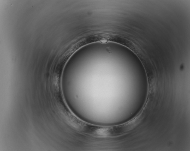 X0000116760178200912241150