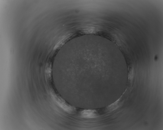 X0000116760179200912241150