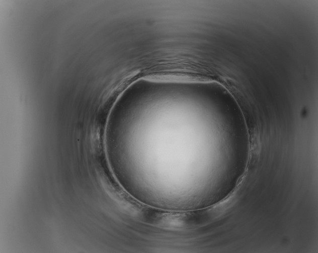 X0000116760182200912241150