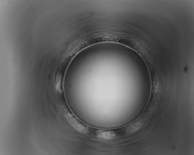 X0000116760185200912241150