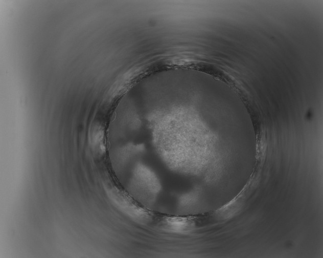 X0000116760187200912241150