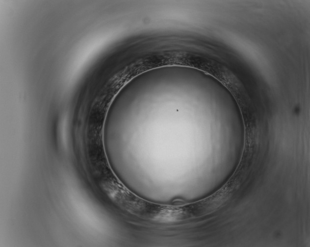 X0000116760189200912241150