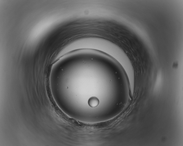 X0000116760195200912241149