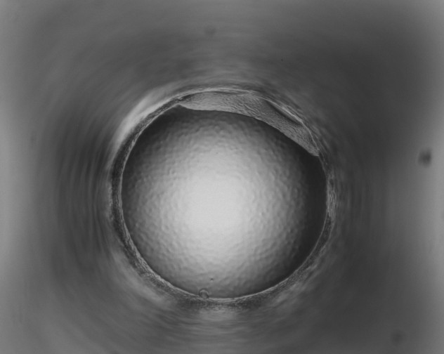 X0000116760198200912241149