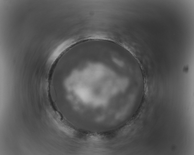 X0000116760199200912241149