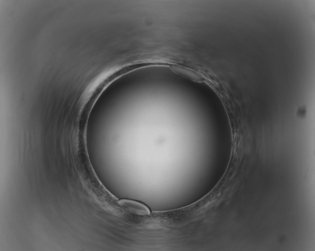 X0000116760200200912241149
