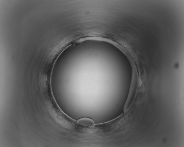 X0000116760201200912241149