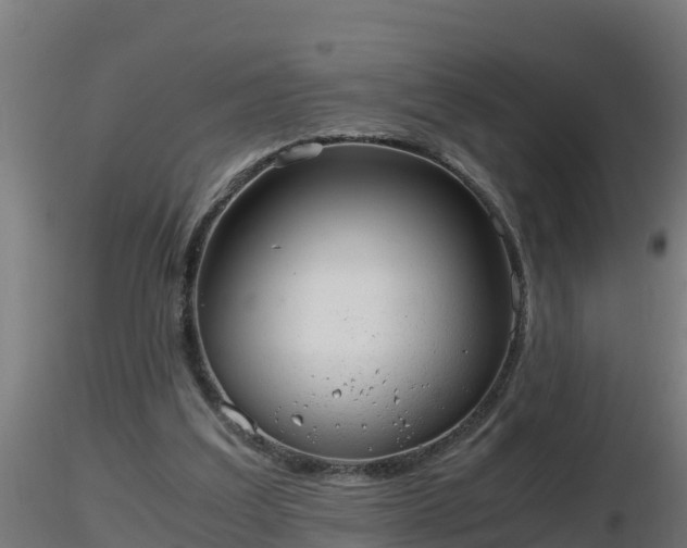 X0000116760203200912241149