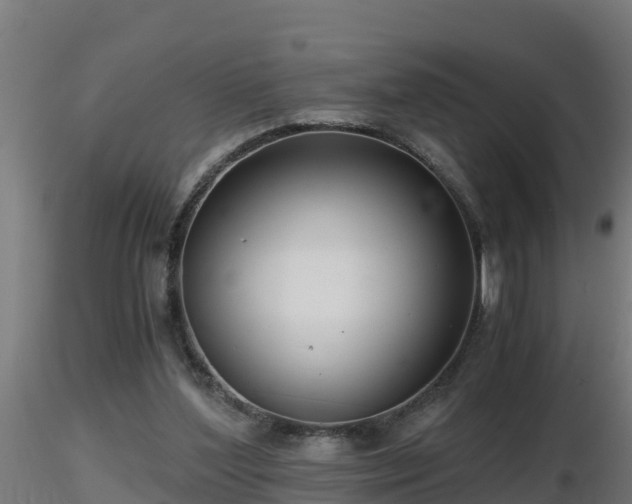 X0000116760204200912241149