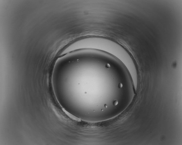 X0000116760205200912241149