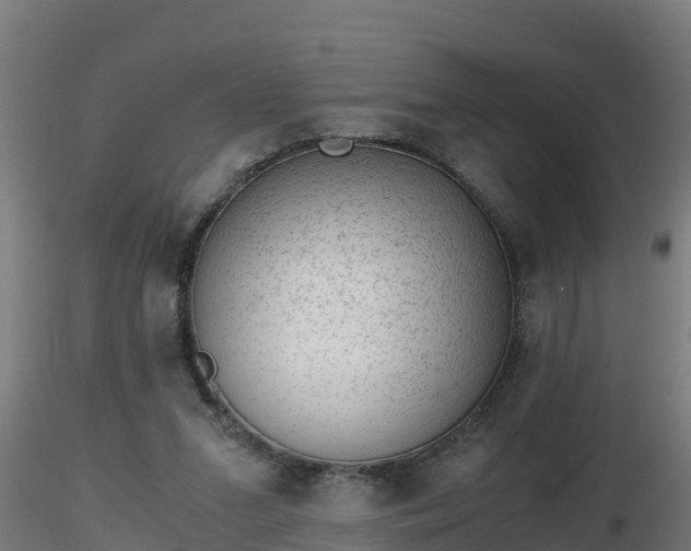 X0000116760207200912241149