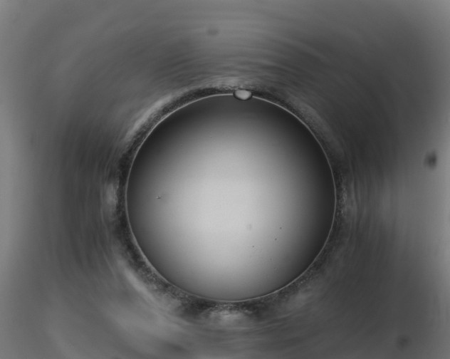 X0000116760208200912241149