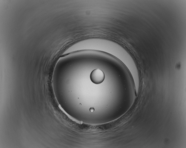 X0000116760209200912241149