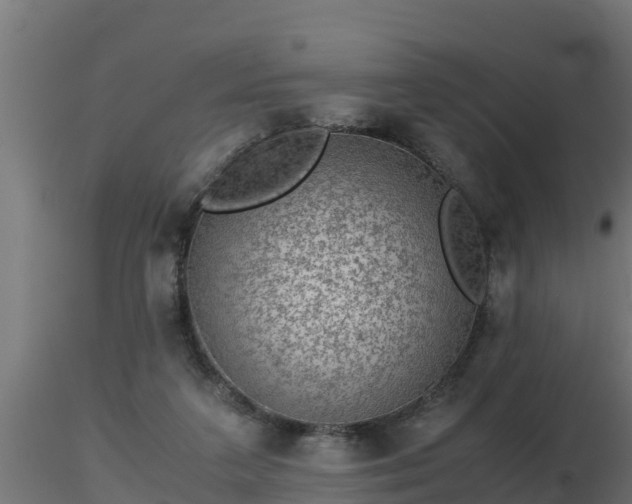 X0000116760211200912241149