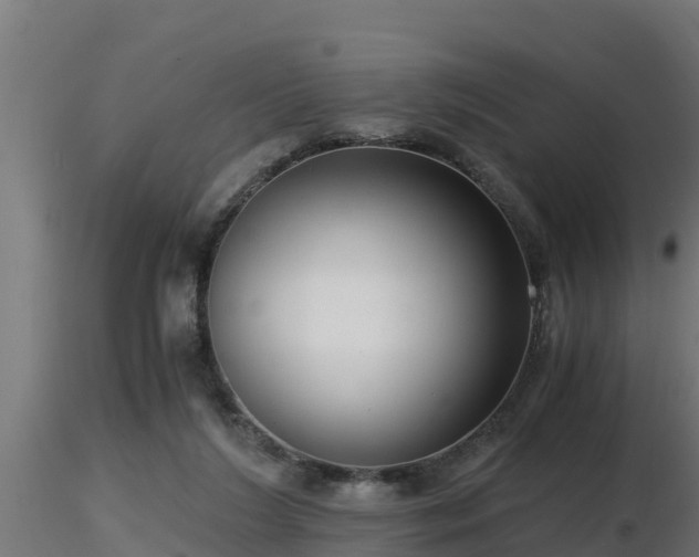 X0000116760212200912241149