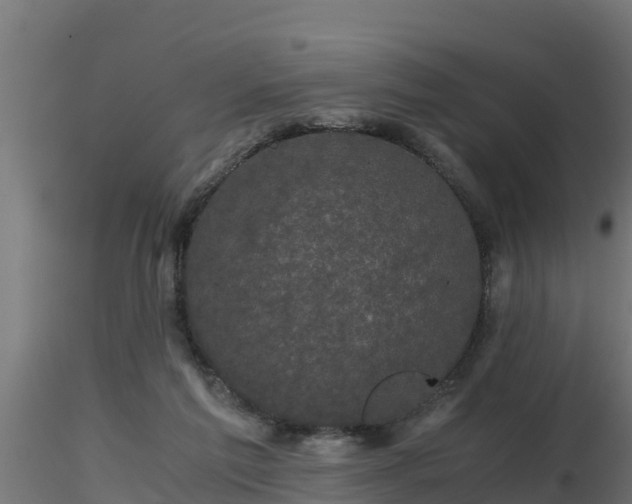 X0000116760213200912241149