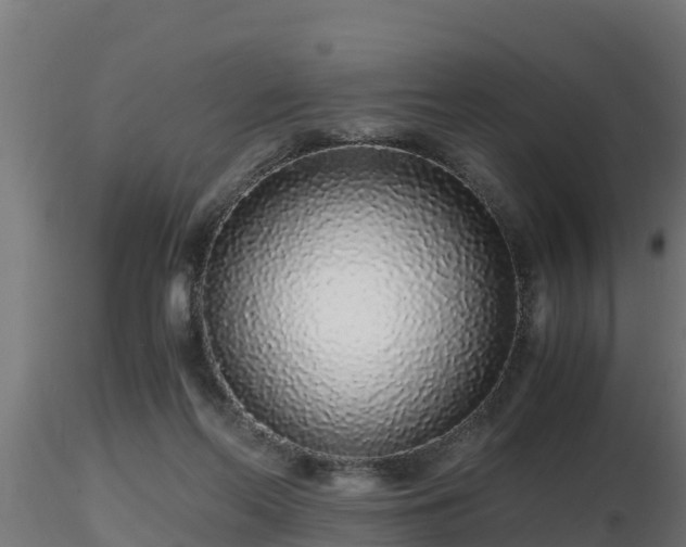 X0000116760214200912241149
