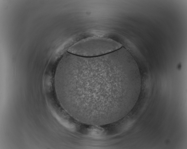 X0000116760215200912241149