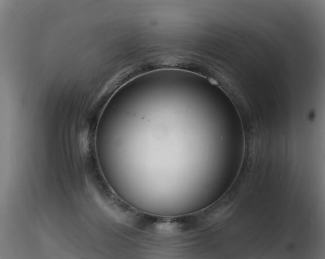 X0000116760216200912241149
